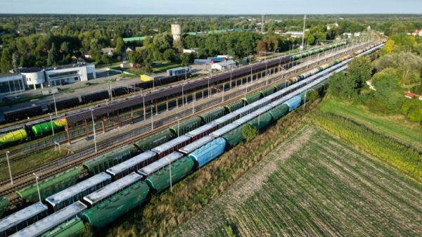 Train cars filled with Ukrainian grain at the Dorhusk station on the Polish-Ukrainian border