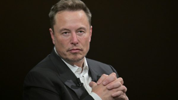 SpaceX and Tesla boss Elon Musk bought Twitter in October 2022