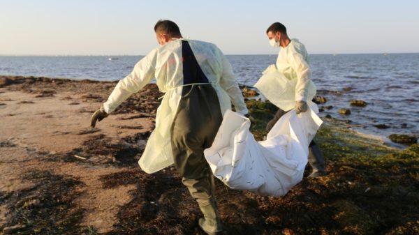 Tunisian civil protection workers recover the body of an African migrant near the eastern city of Zarzis, on July 16, 2019, after a string of deadly shipwrecks