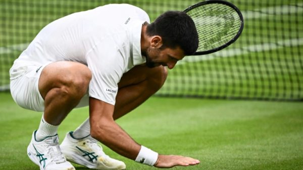 'Ultimate showdown': Novak Djokovic kisses the grass as he celebrates winning against Jannik Sinner in the semi-finals