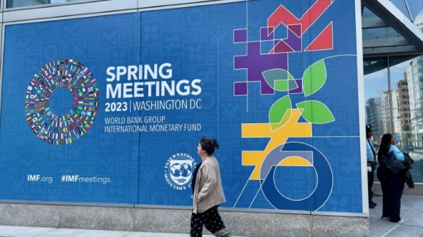 The leadership of the World Bank and International Monetary Fund hope to use this year's spring meetings held in Washington to promote an ambitious reform and fundraising agenda
