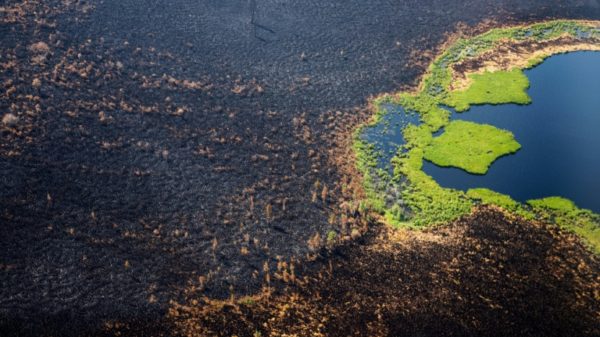 An aerial view of land charred by fire west of the Russian city of Yakutsk in Siberia in July 2021
