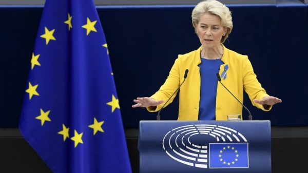 Ursula von der Leyen's term ends next year, but she has so far not said if she wants a second one